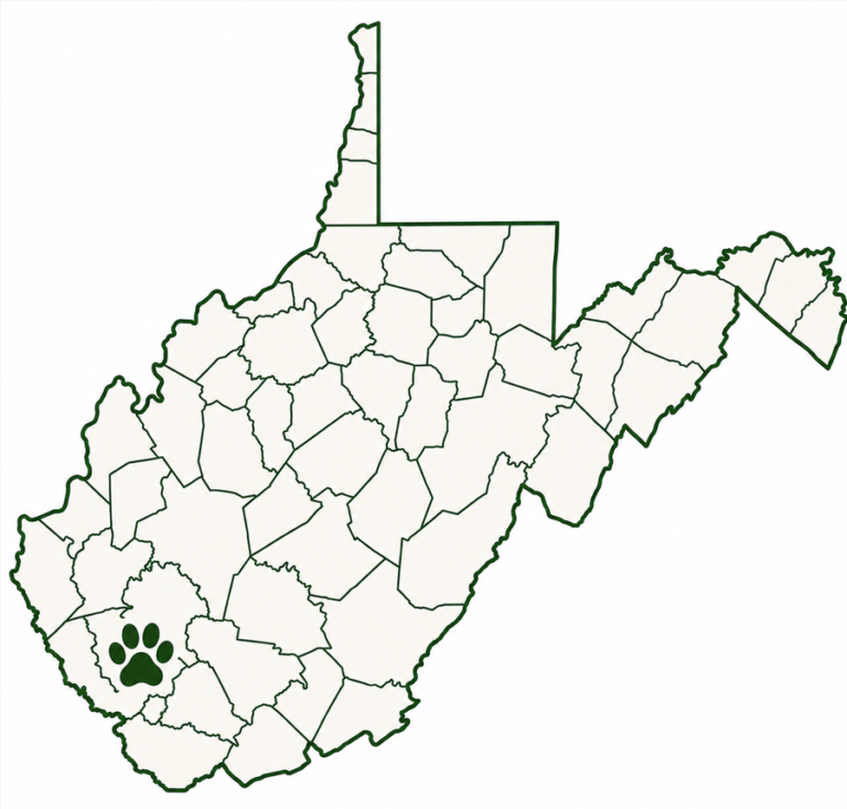 wv paw print